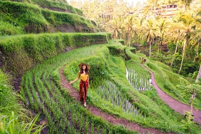 Ubud Cultural Tours