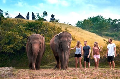 Elephant Expedition