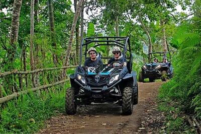 Junggle Buggy Adventure