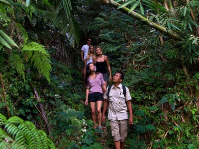 Tropical Trekking