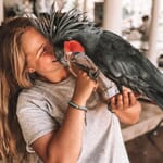 Bali Bird Park “Terbang Bersama Burung” Menyelami Keindahan Alam Tropis