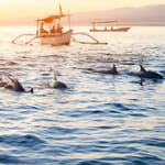 Pantai Lovina “Melaju dengan Lumba-Lumba” Wisata Bahari yang Ajaib
